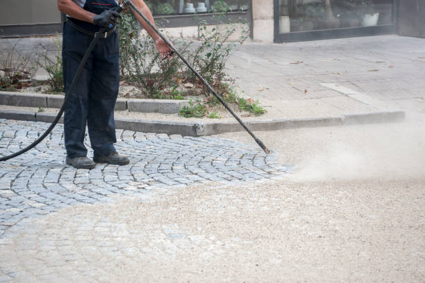 Best Gutter Cleaning  in Tolono, IL